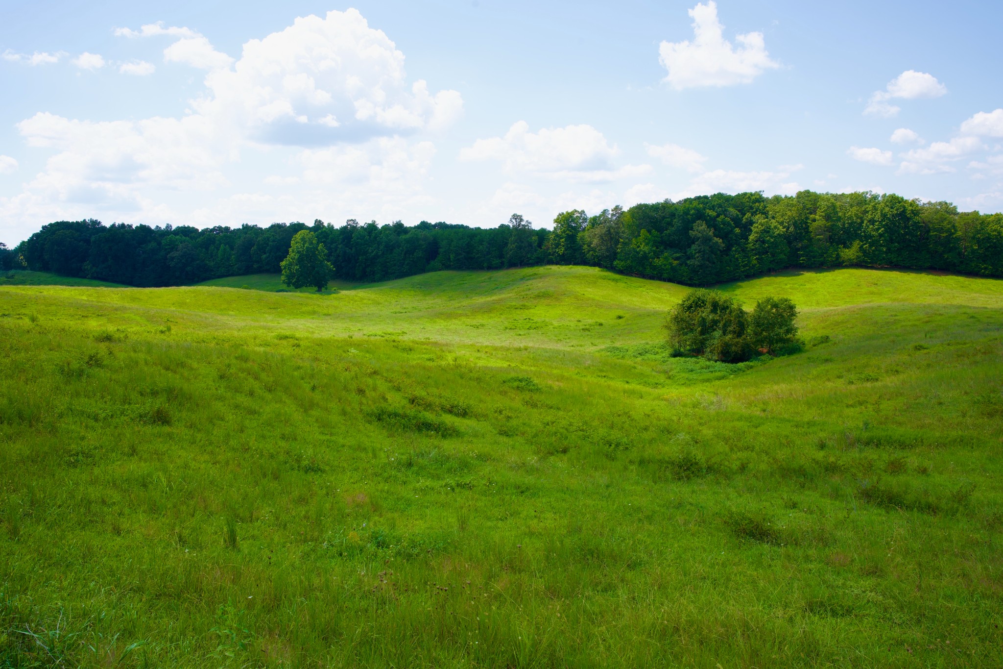 6 Barlow Road Rock Island, TN 38581 - Photo 14 of 23 a view of a green yard