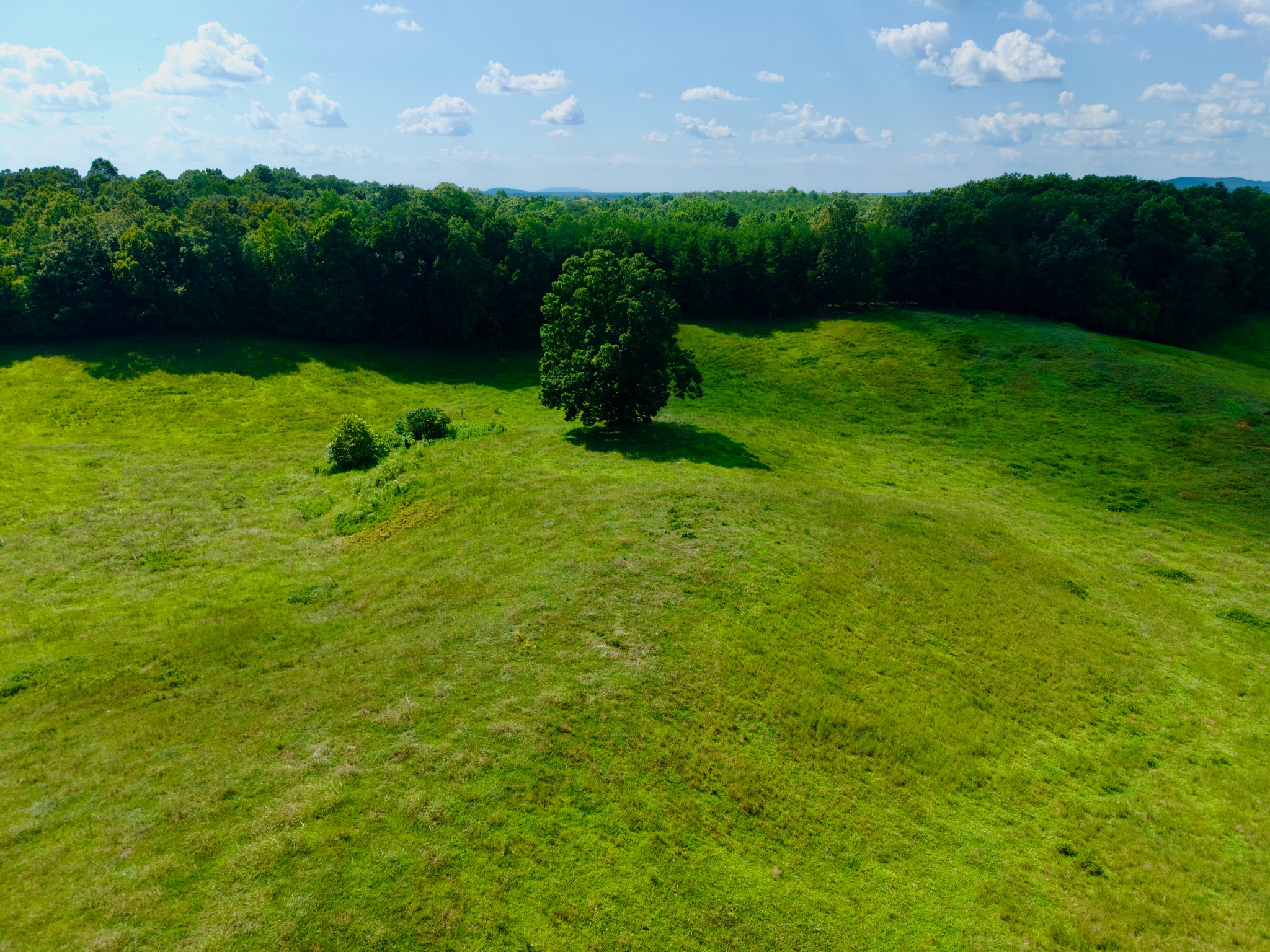 6 Barlow Road Rock Island, TN 38581 - Photo 16 of 23 a view of building with green space
