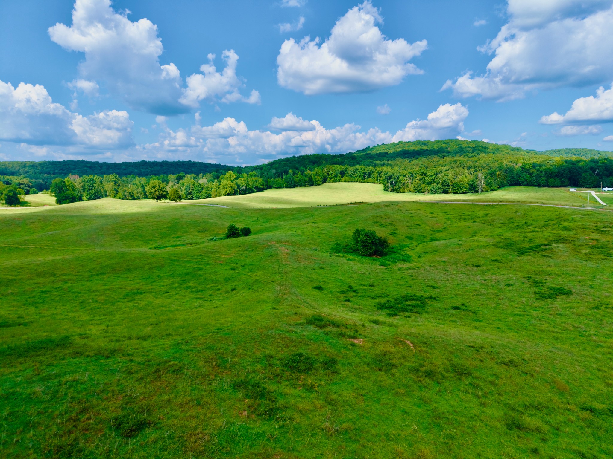 6 Barlow Road Rock Island, TN 38581 - Photo 18 of 23 a view of a big yard with large trees