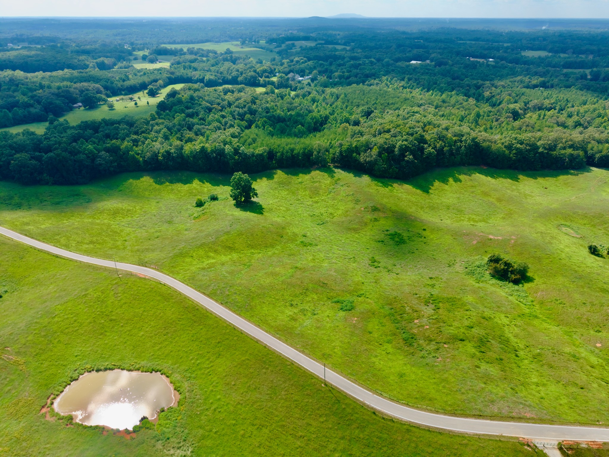 6 Barlow Road Rock Island, TN 38581 - Photo 19 of 23 a view of a green yard with large trees