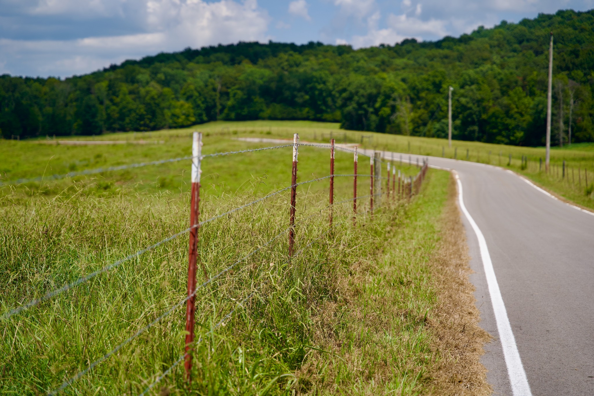 6 Barlow Road Rock Island, TN 38581 - Photo 2 of 23 a view of a swimming pool and a yard