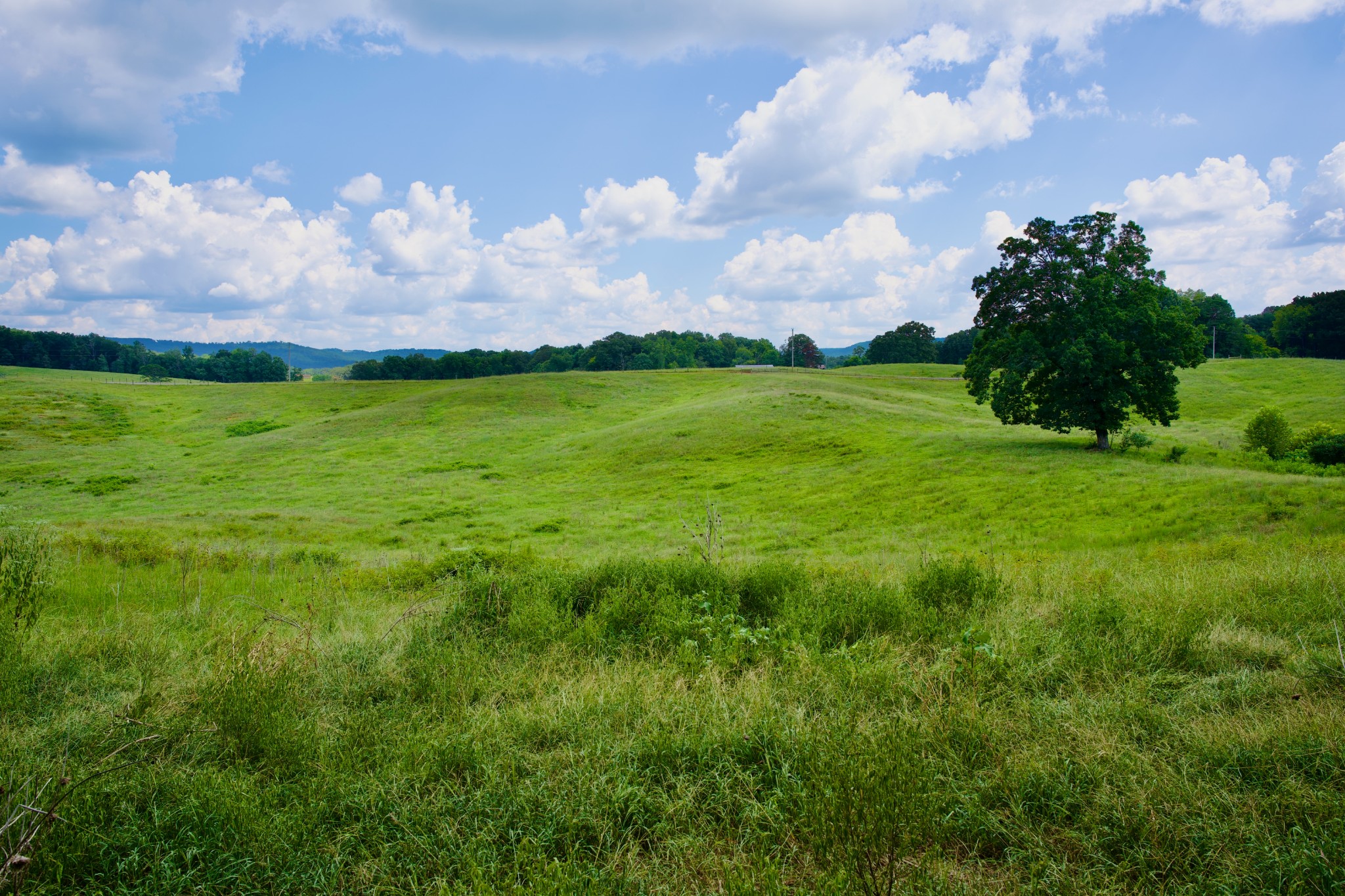 6 Barlow Road Rock Island, TN 38581 - Photo 21 of 23 a view of an outdoor space and yard