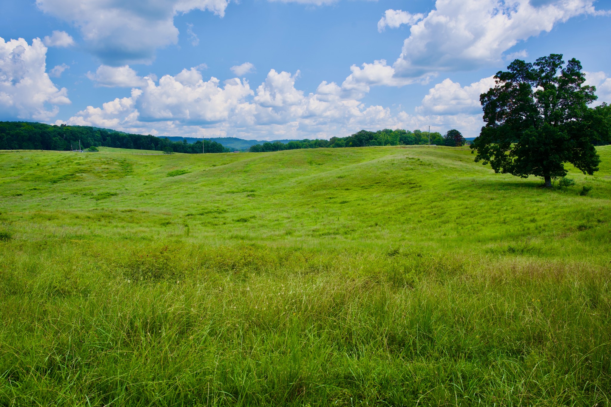 6 Barlow Road Rock Island, TN 38581 - Photo 22 of 23 a view of a big yard with lots of green space