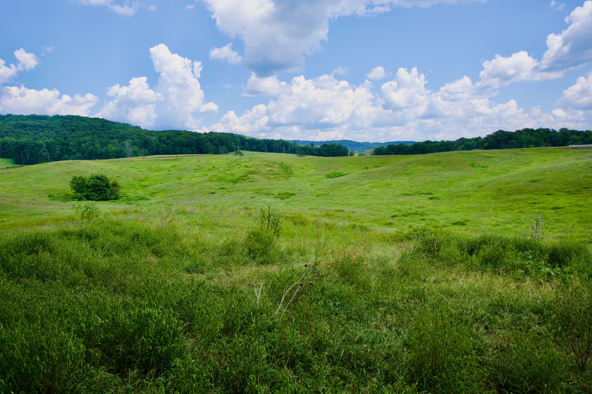6 Barlow Road Rock Island, TN 38581 - Photo 23 of 23 a view of a city