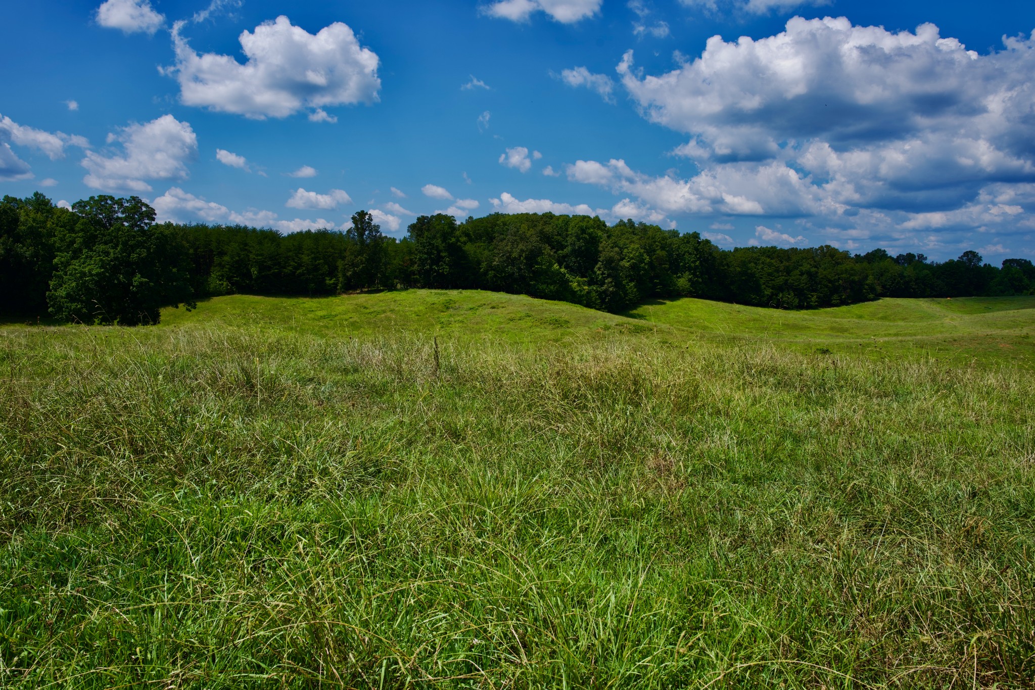 6 Barlow Road Rock Island, TN 38581 - Photo 4 of 23 a view of a big yard with lots of green space