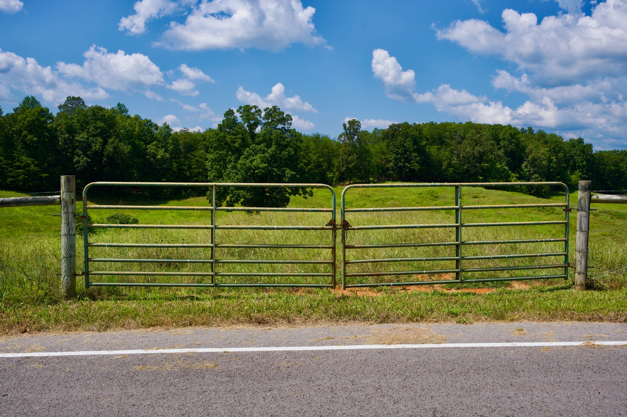 6 Barlow Road Rock Island, TN 38581 - Photo 7 of 23 a view of a yard with a wooden fence