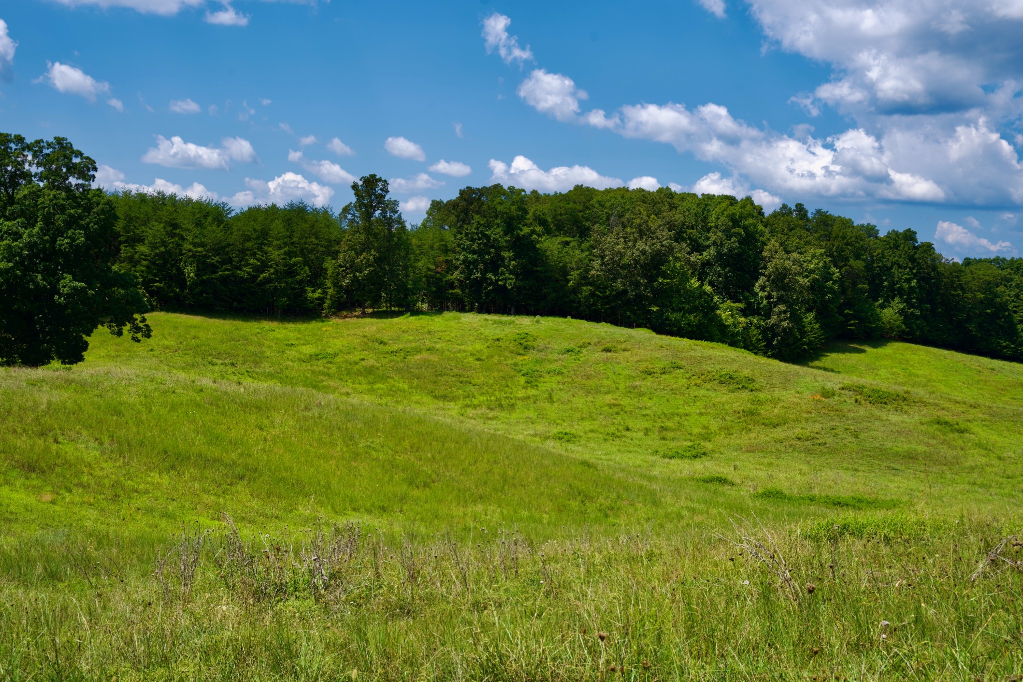 6 Barlow Road Rock Island, TN 38581 - Photo 8 of 23 a view of outdoor space with huge green field and trees