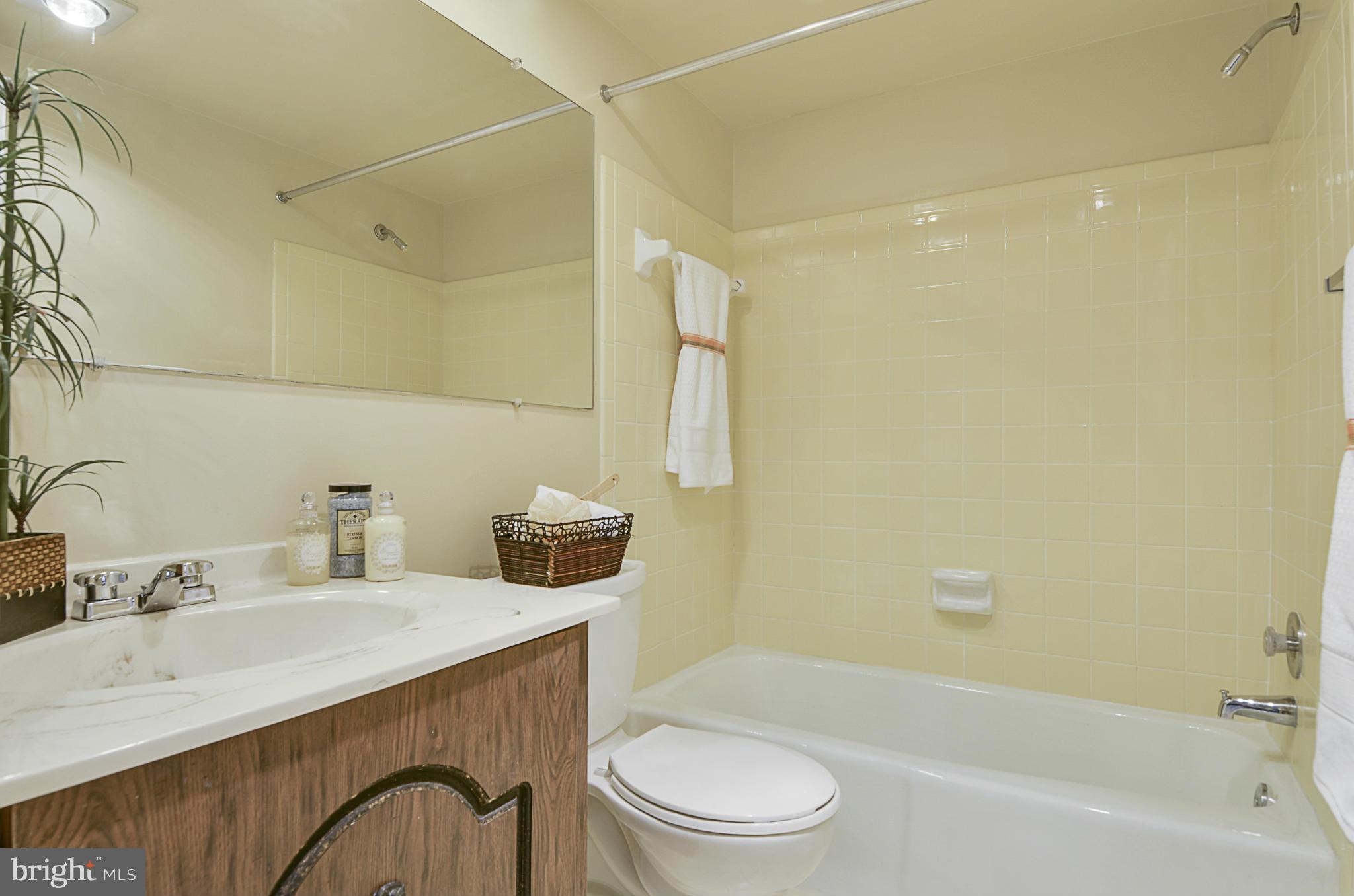 10022 Stedwick Road, Unit 304 Gaithersburg, MD 20886 - Photo 18 of 30 Master Bath