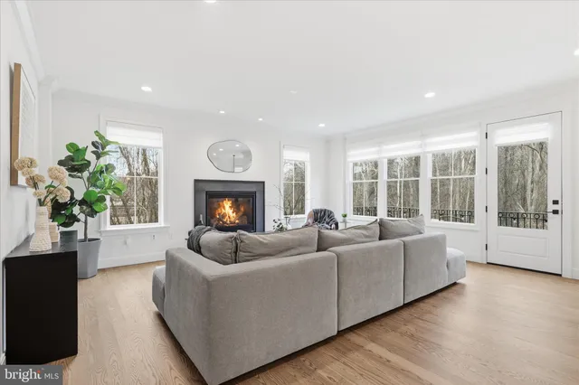 a living room with furniture a fireplace and a potted plant