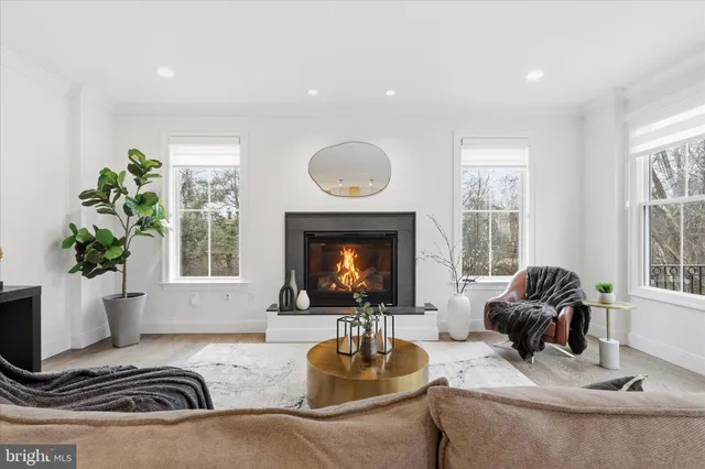 a living room with furniture window and a fireplace
