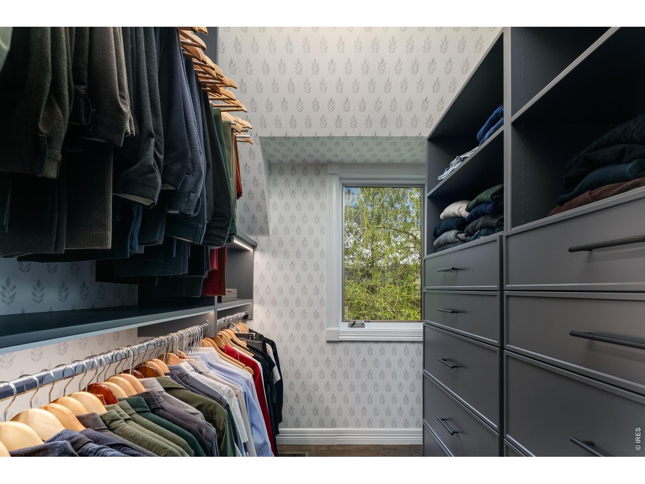 5575 St Vrain Road Longmont, CO 80503 - Photo 29 of 50 Primary bedroom walk-in closet. One of two closets.