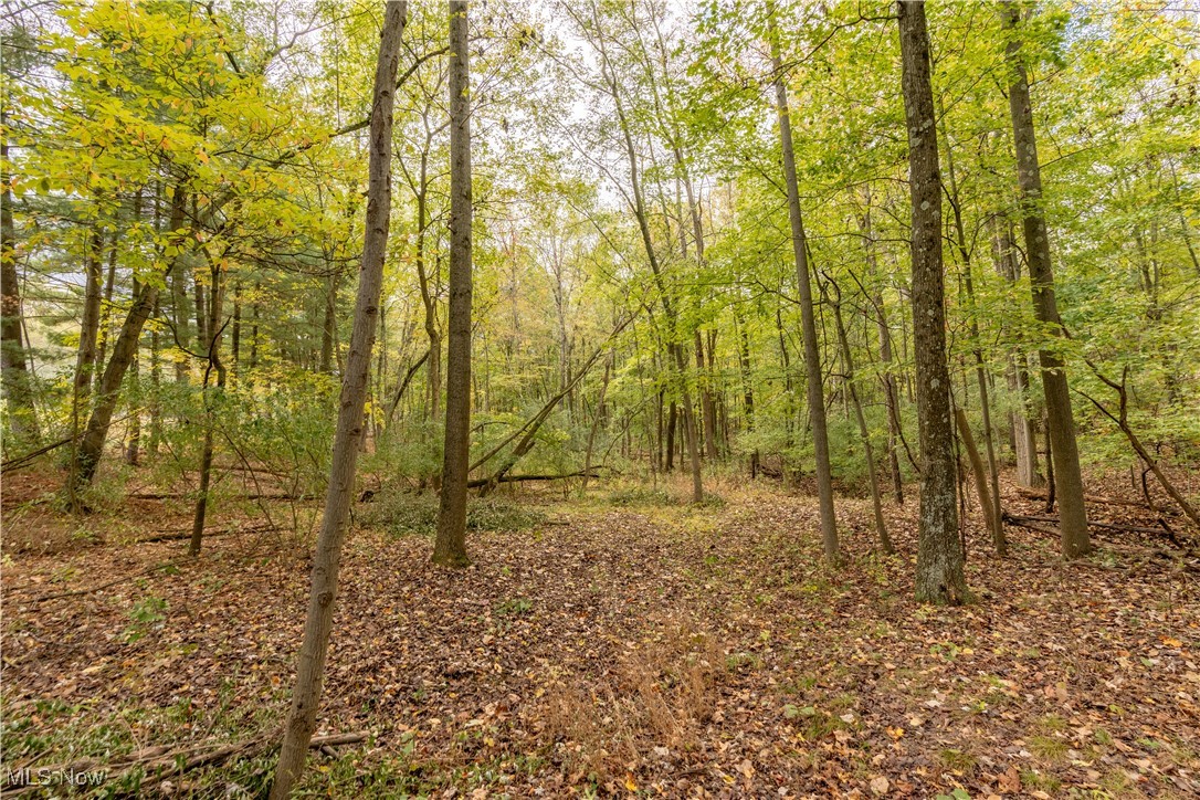 Eberhart Road Northeast Dover, OH 44622 - Photo 6 of 8 Gallery Image 6