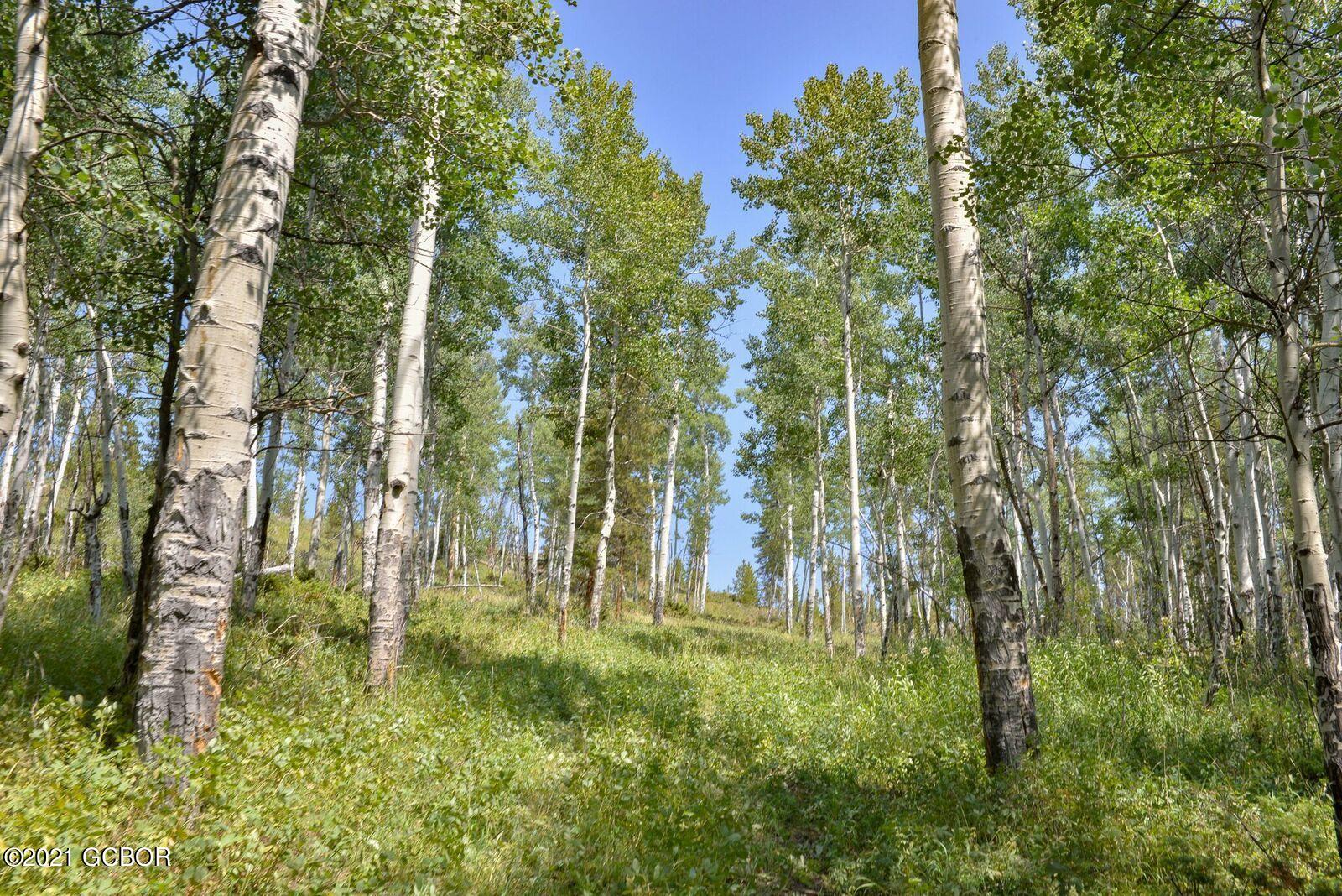 128 Tabernash Co 80478 Tabernash, CO 80478 - Photo 2 of 7 a view of outdoor space and a yard
