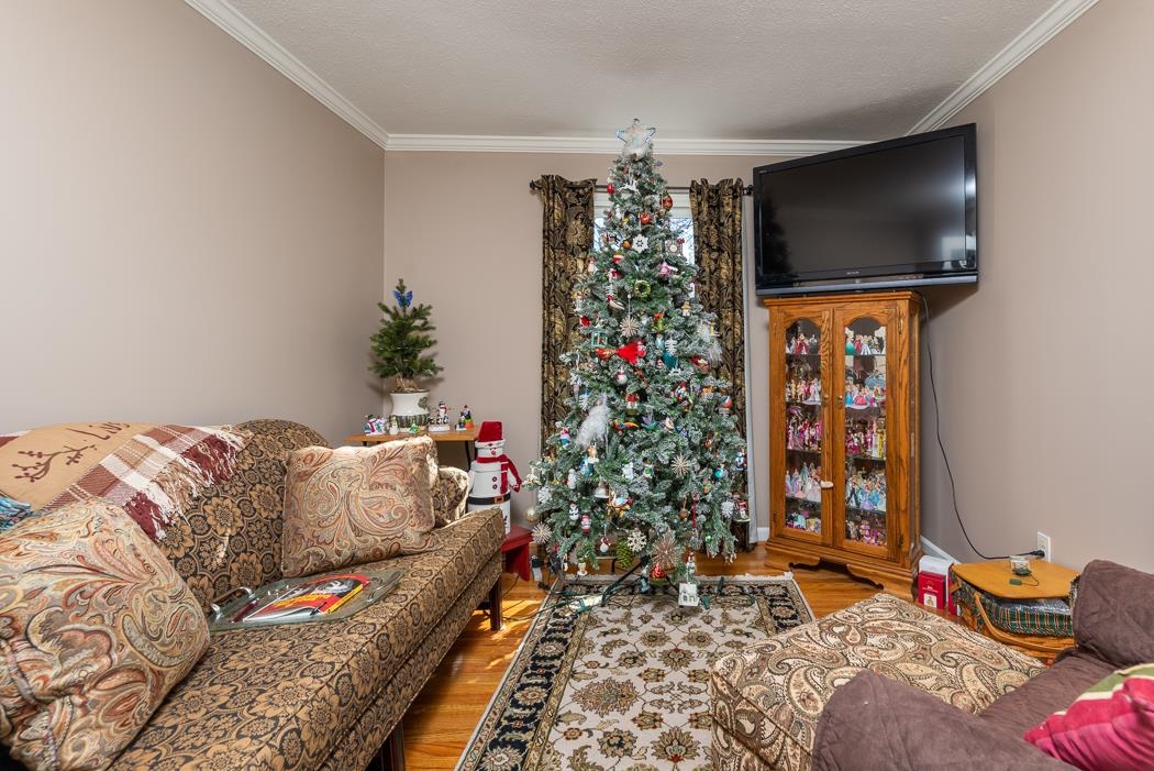 624 Augusta Farms Road Waynesboro, VA 22980 - Photo 29 of 63 a living room with furniture and a flat screen tv