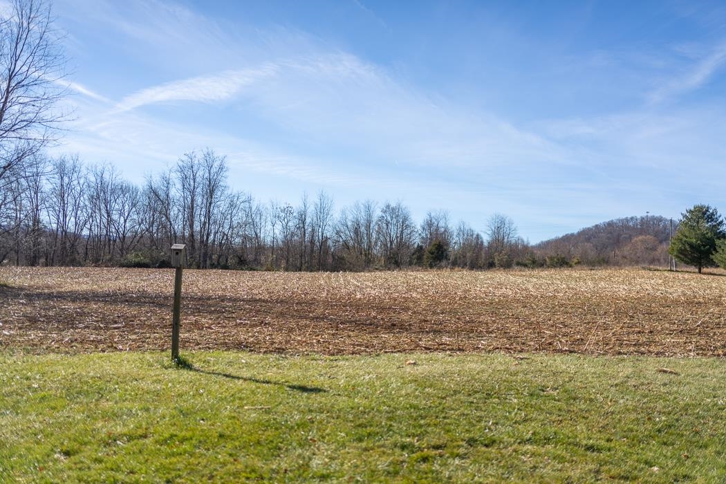 624 Augusta Farms Road Waynesboro, VA 22980 - Photo 44 of 63 a view of a field with trees in the background