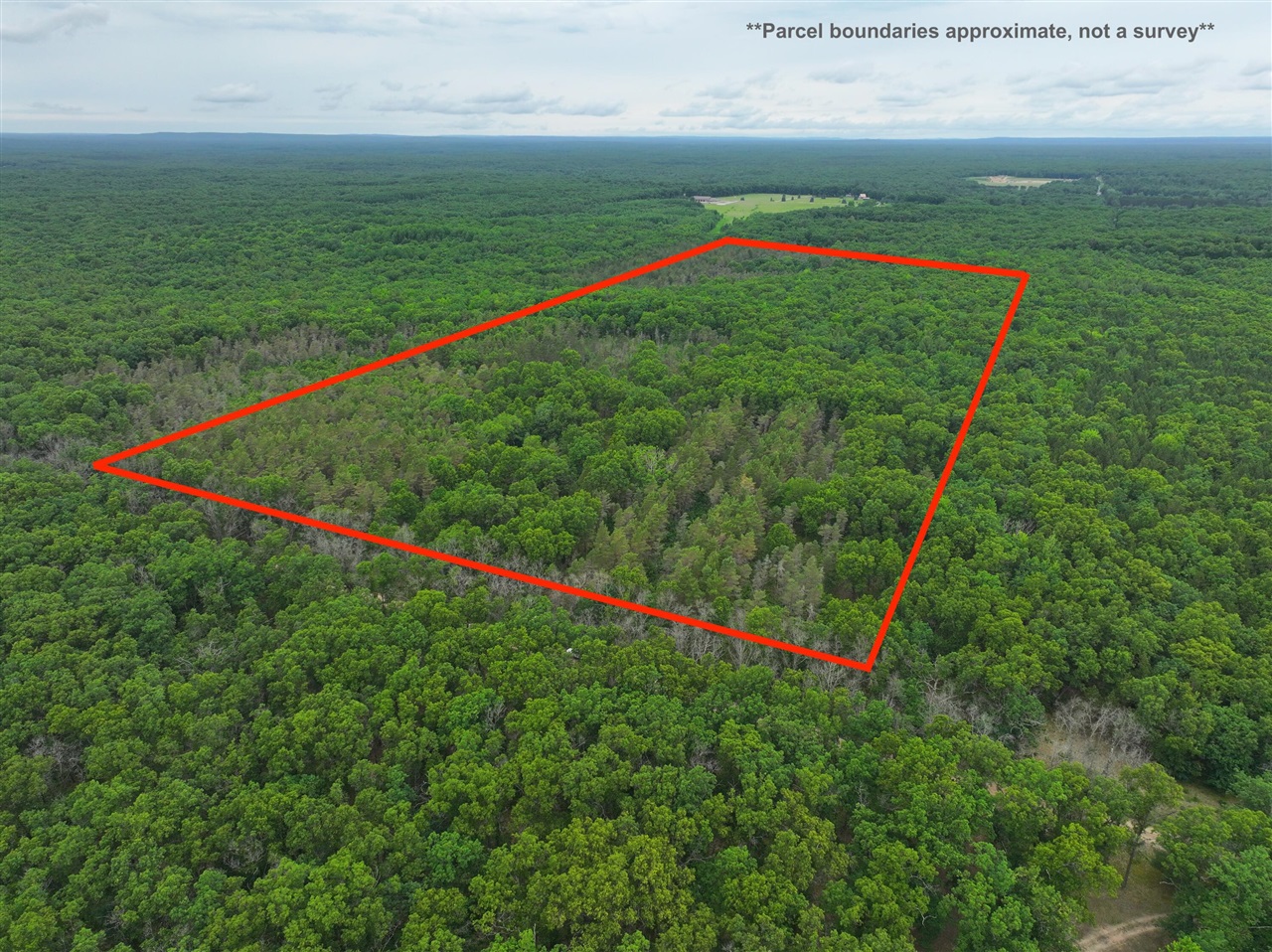 7376 West 7 Mile Road Mesick, MI 49668 - Photo 1 of 26 Gallery Image 1