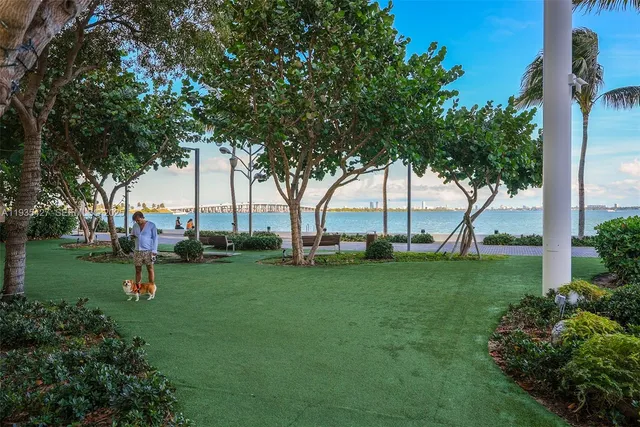 a view of a park with large trees