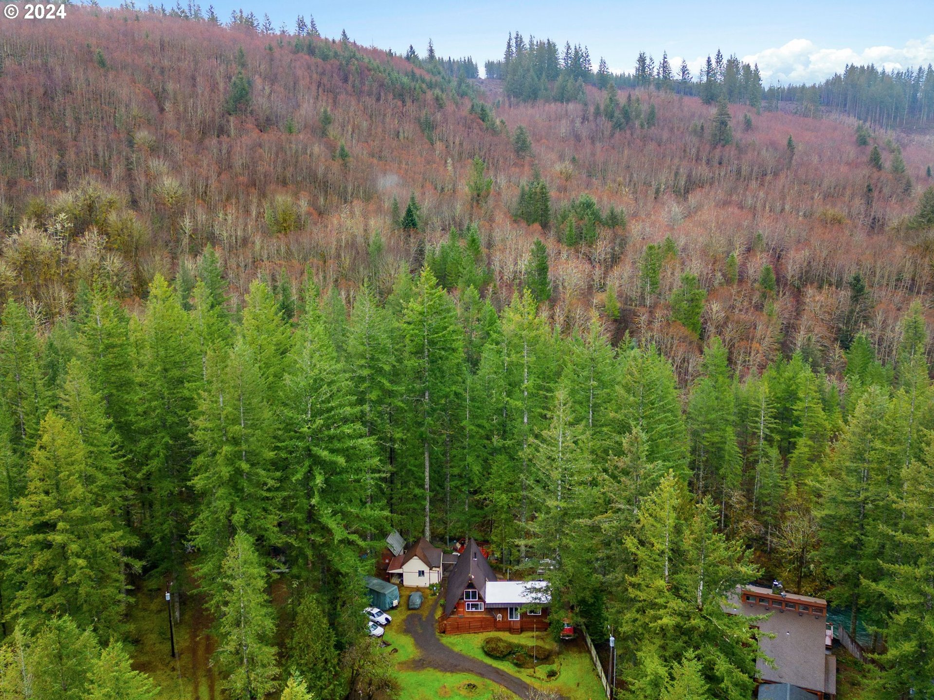 38107 Northeast Sunset Falls Road Yacolt, WA 98675 - Photo 33 of 41 Gallery Image 33