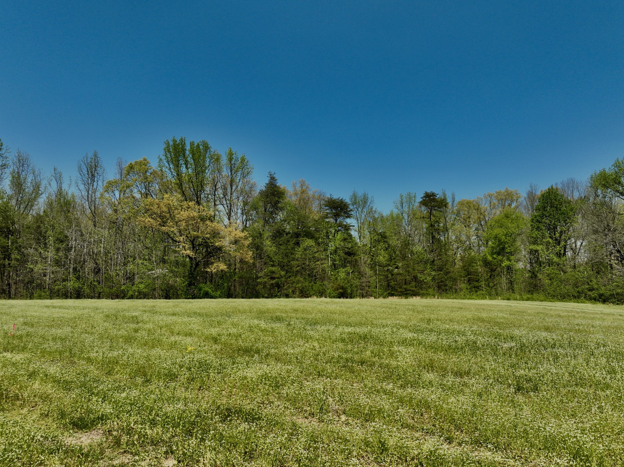 1130 Kermet Turner Road Rock Island, TN 38581 - Photo 11 of 25