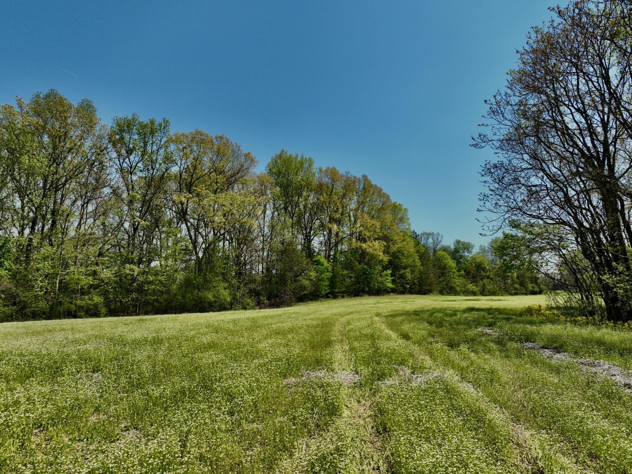 1130 Kermet Turner Road Rock Island, TN 38581 - Photo 12 of 25