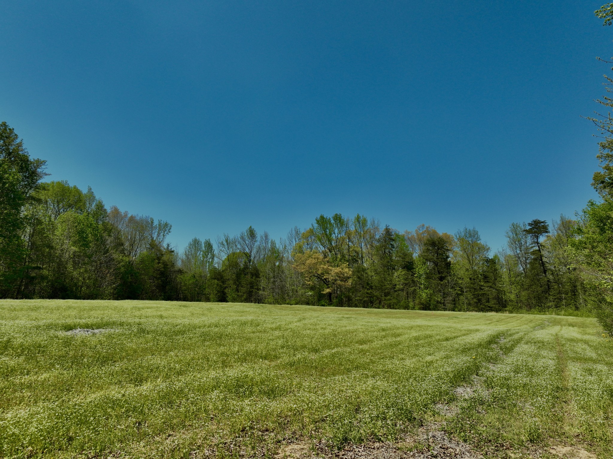 1130 Kermet Turner Road Rock Island, TN 38581 - Photo 13 of 25