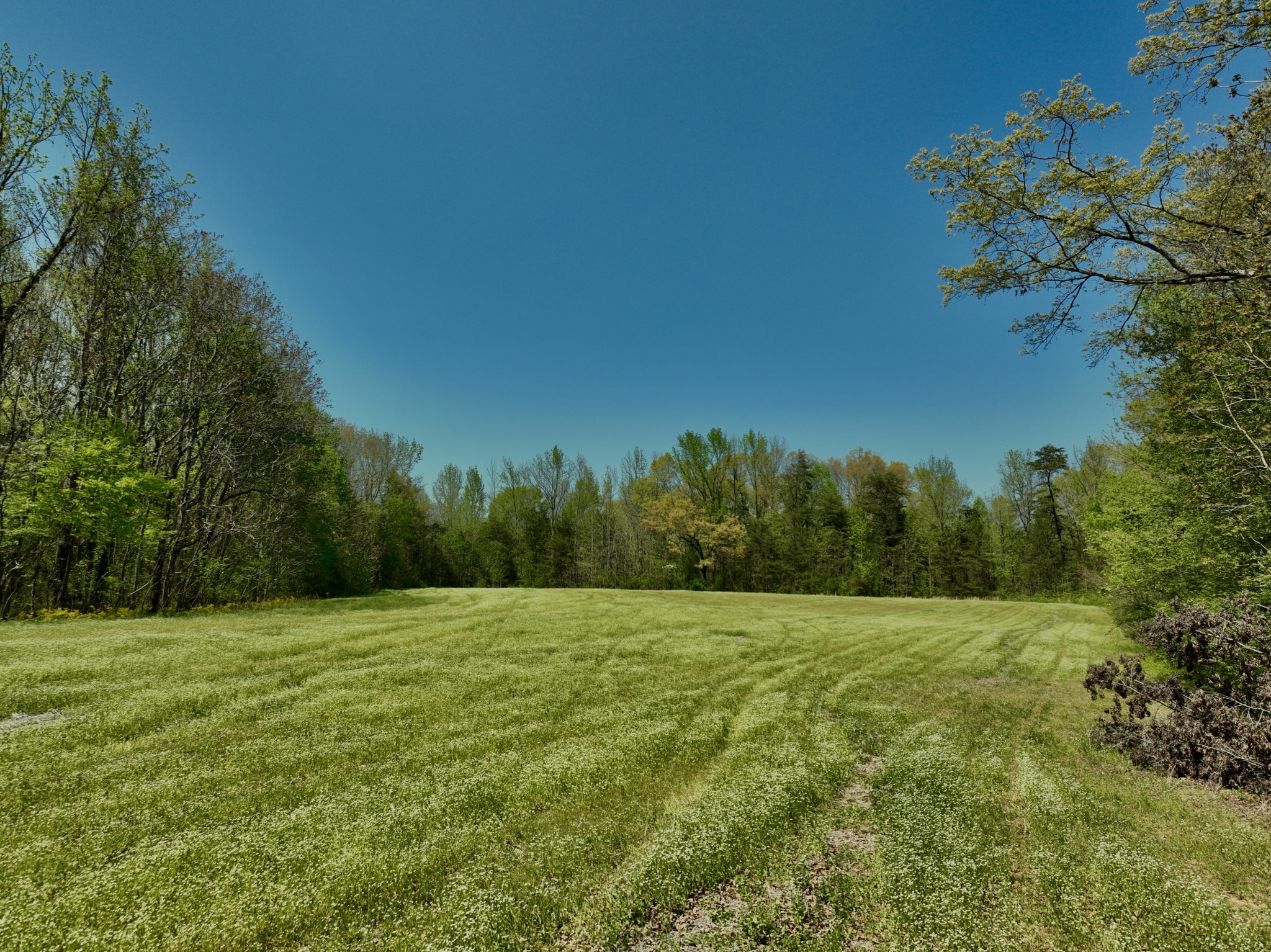 1130 Kermet Turner Road Rock Island, TN 38581 - Photo 15 of 25