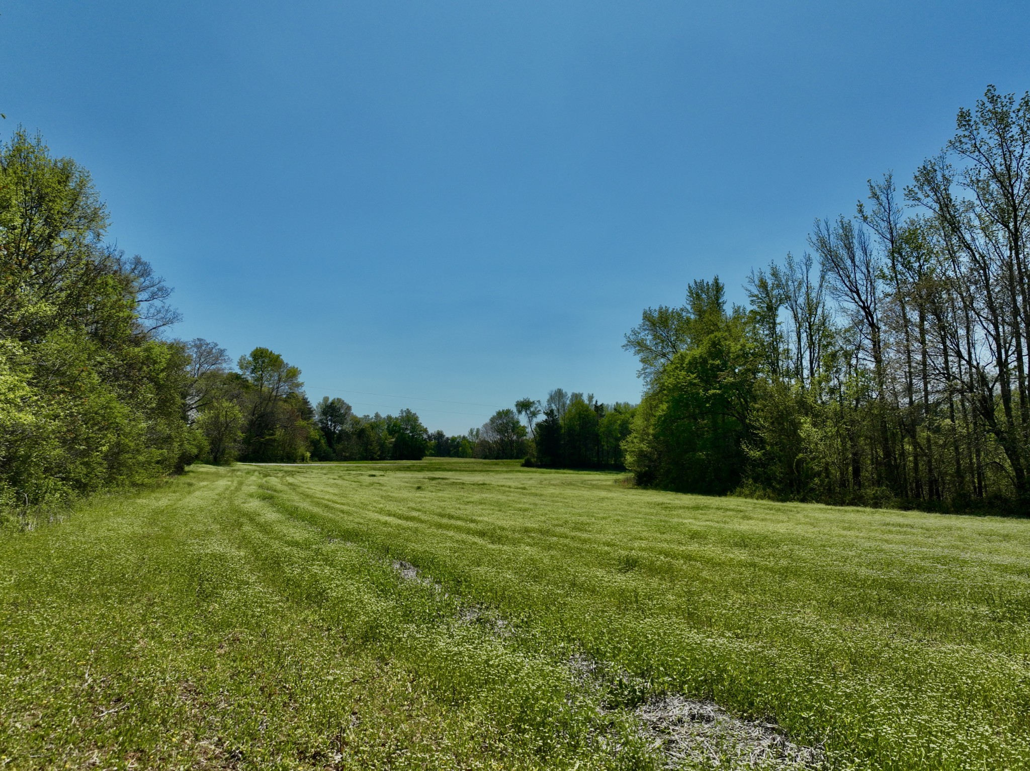 1130 Kermet Turner Road Rock Island, TN 38581 - Photo 16 of 25