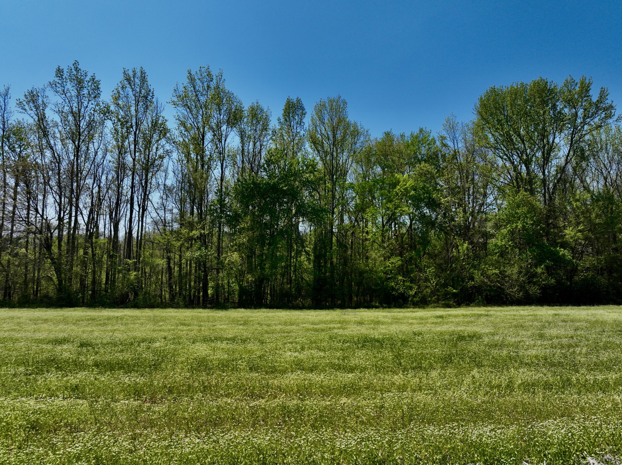 1130 Kermet Turner Road Rock Island, TN 38581 - Photo 17 of 25