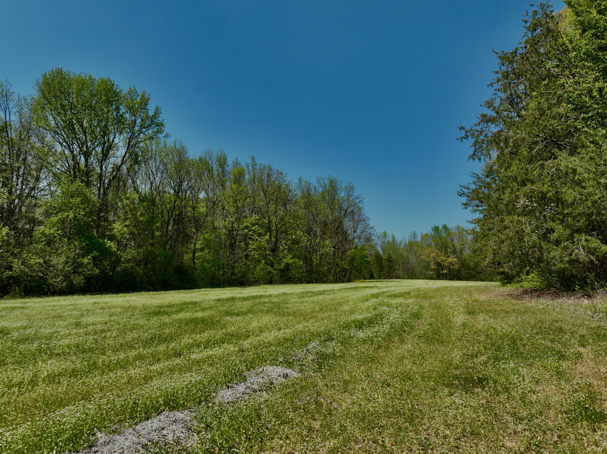 1130 Kermet Turner Road Rock Island, TN 38581 - Photo 18 of 25