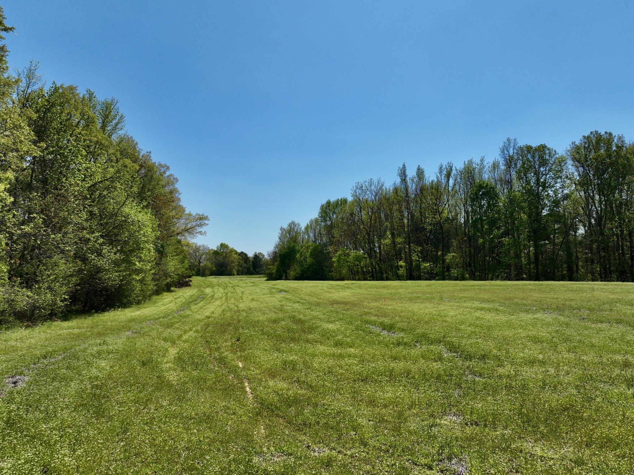 1130 Kermet Turner Road Rock Island, TN 38581 - Photo 7 of 25