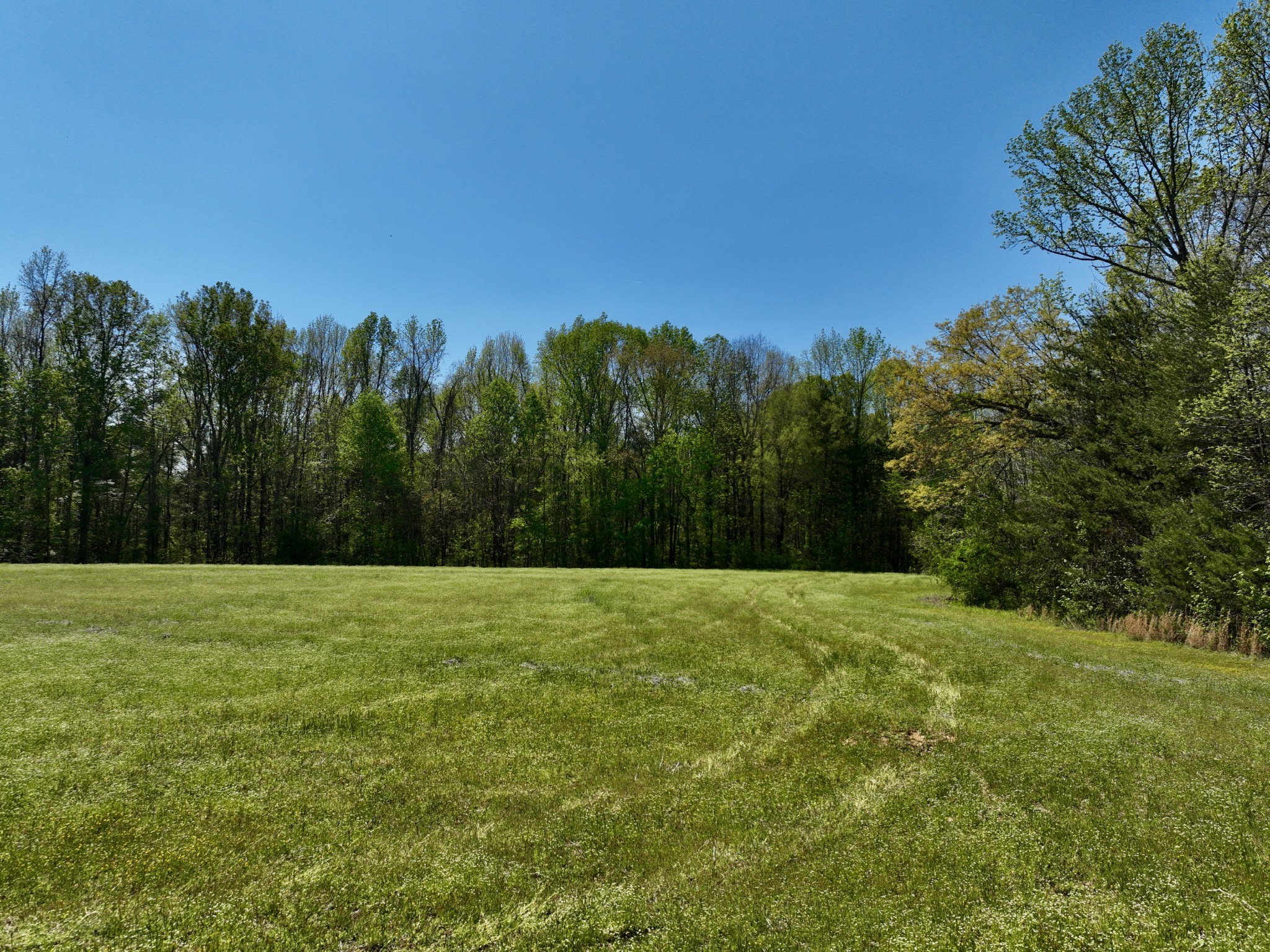 1130 Kermet Turner Road Rock Island, TN 38581 - Photo 8 of 25