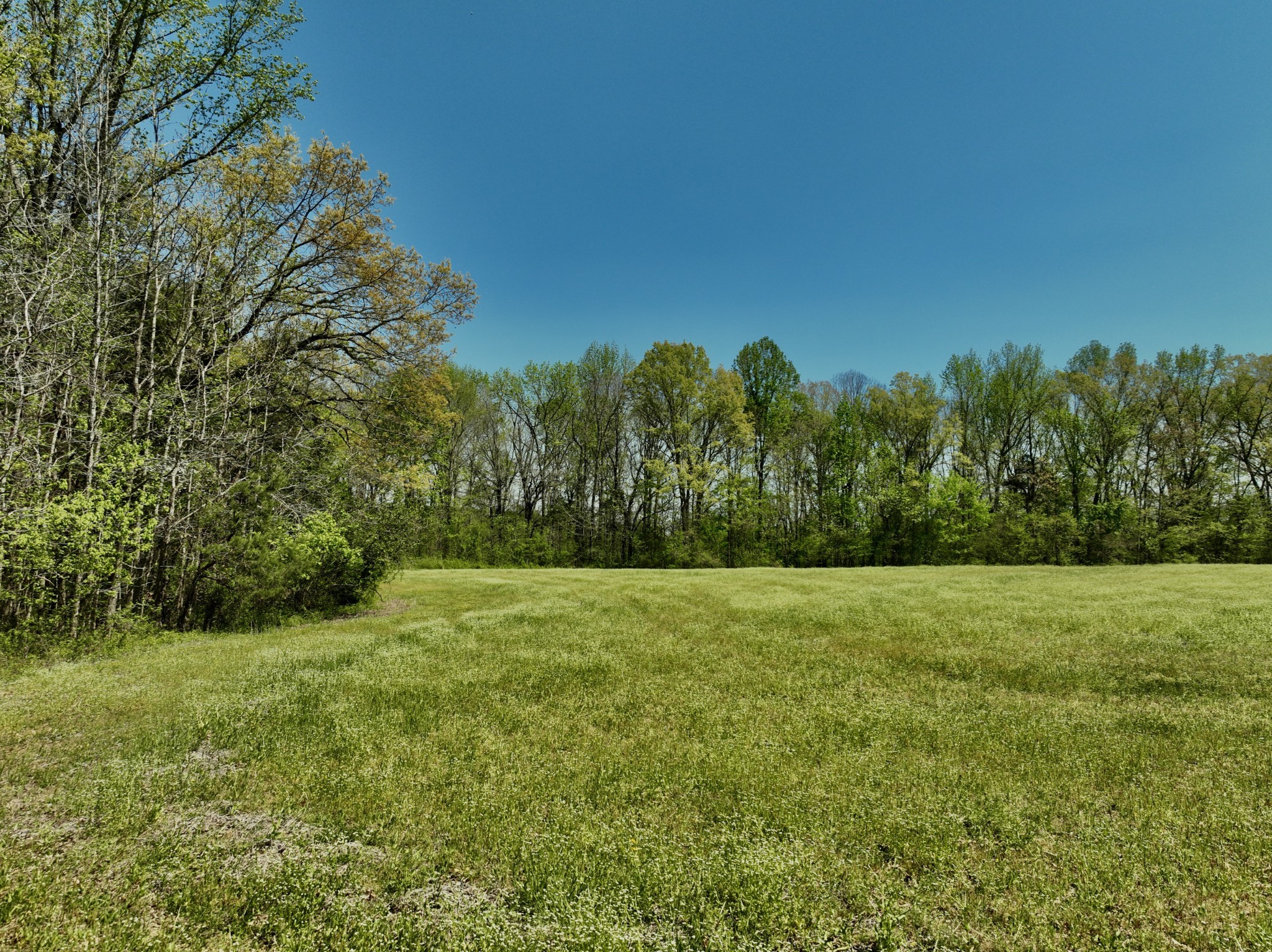 1130 Kermet Turner Road Rock Island, TN 38581 - Photo 9 of 25