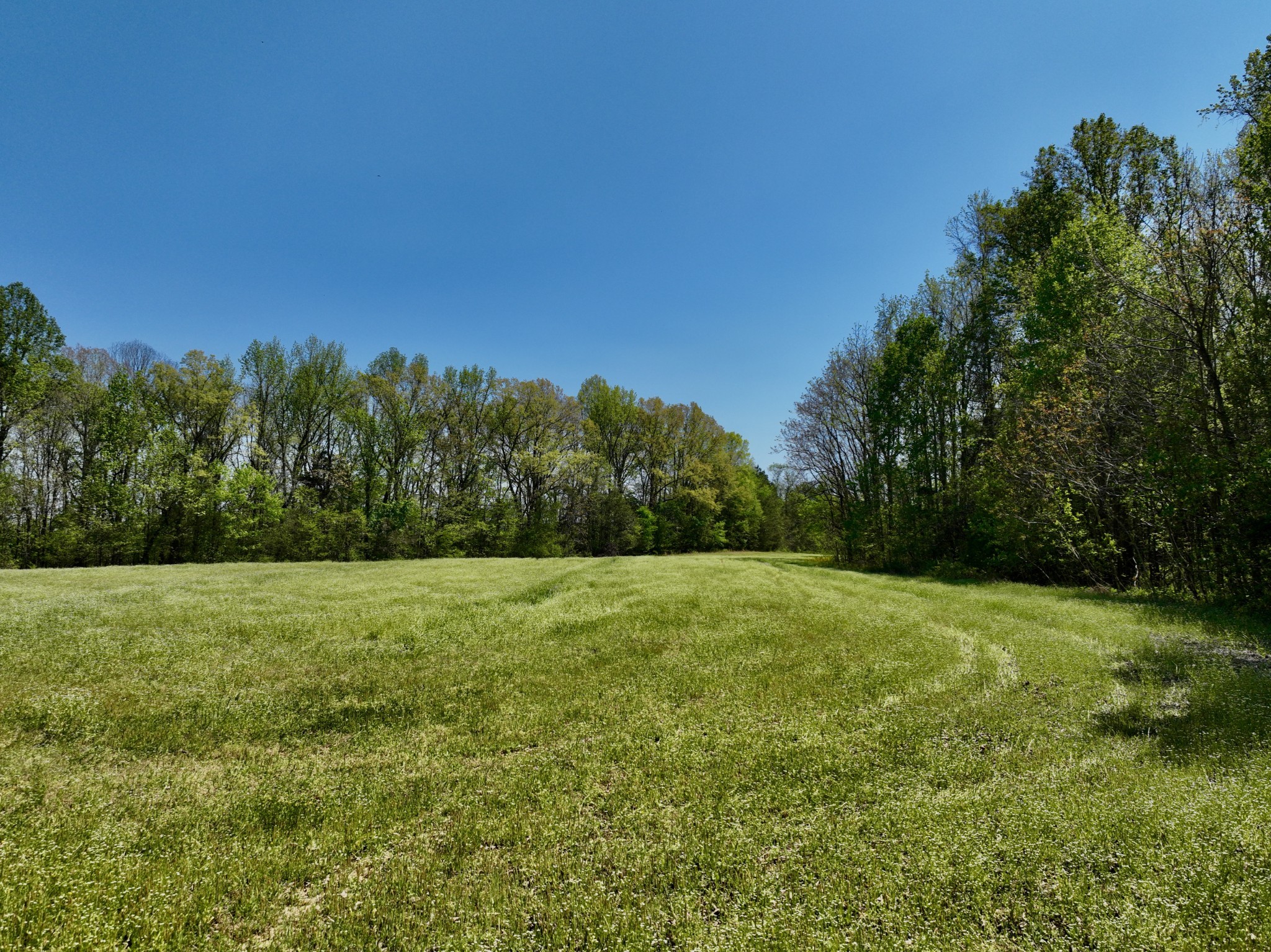 1130 Kermet Turner Road Rock Island, TN 38581 - Photo 10 of 25