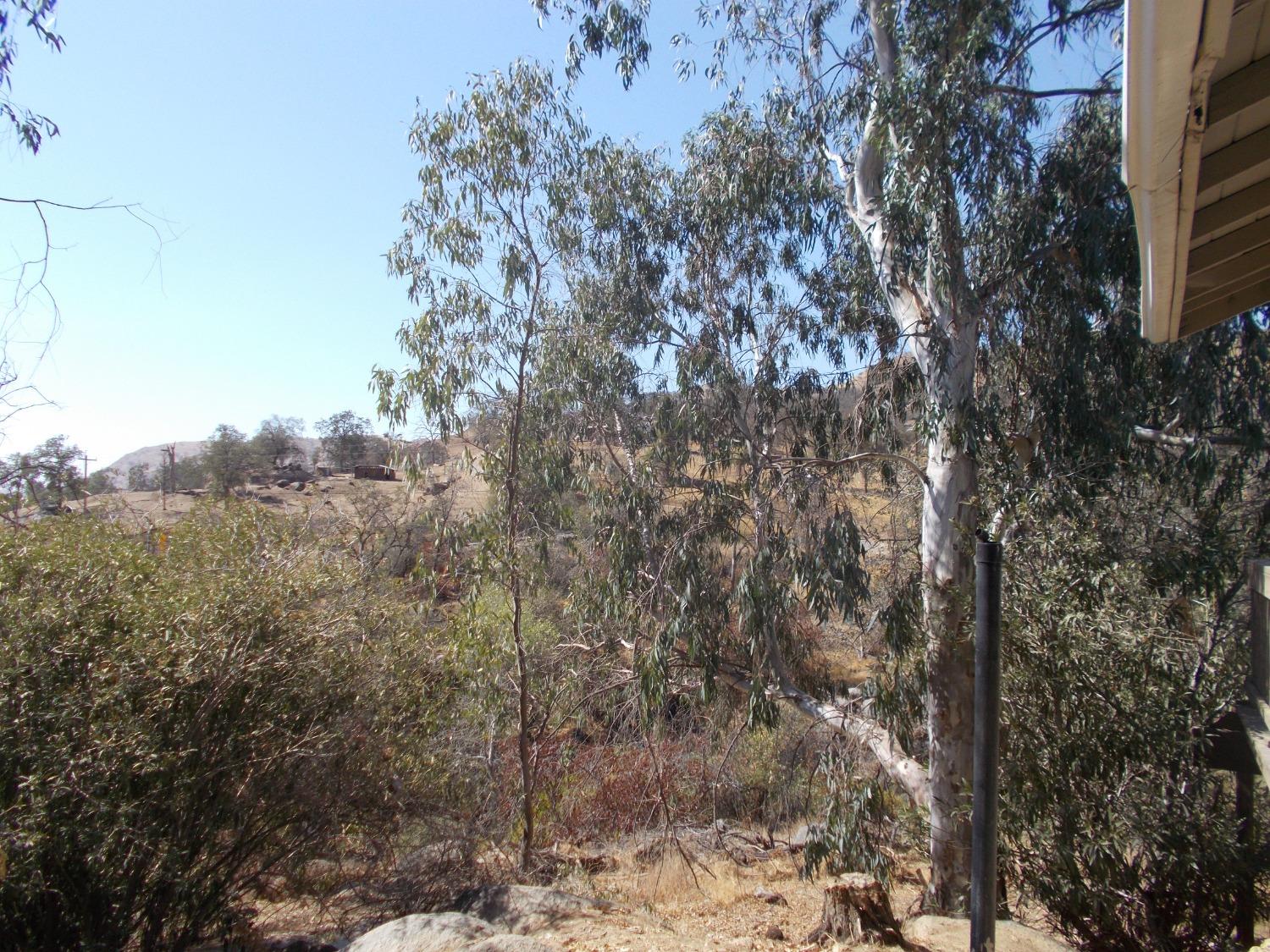 35739 Mistletoe Road Squaw Valley, CA 93675 - Photo 16 of 24 Gallery Image 16