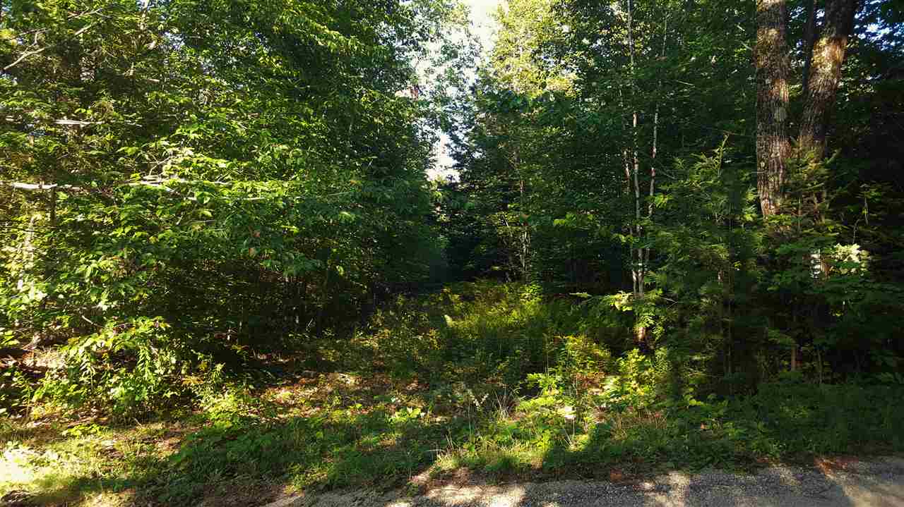 74 Effingham Road Ossipee, NH 03864 - Photo 4 of 10
