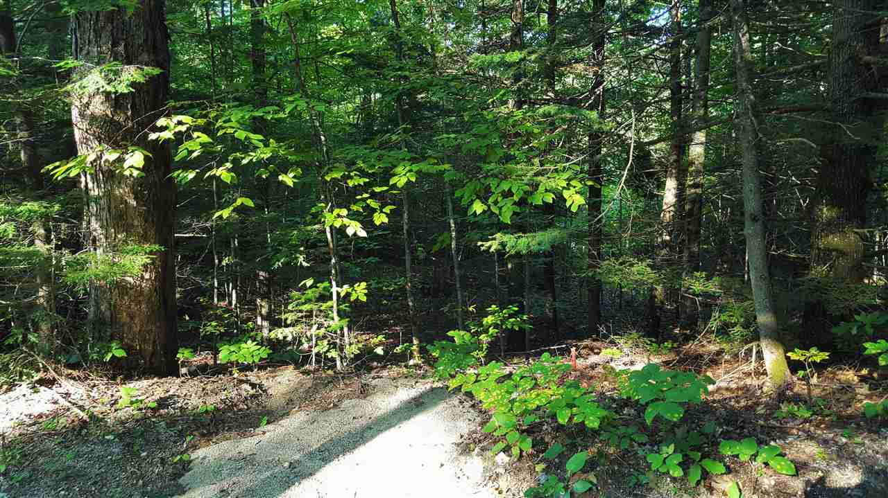 74 Effingham Road Ossipee, NH 03864 - Photo 6 of 10