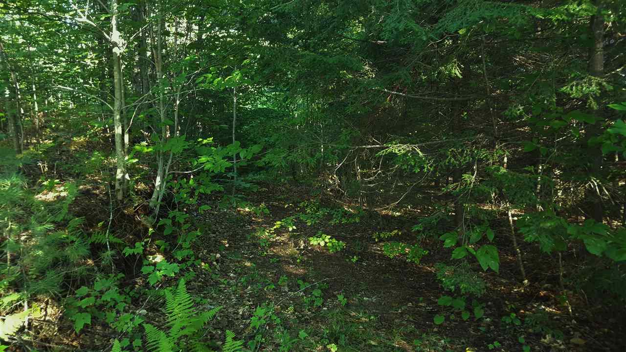 74 Effingham Road Ossipee, NH 03864 - Photo 7 of 10