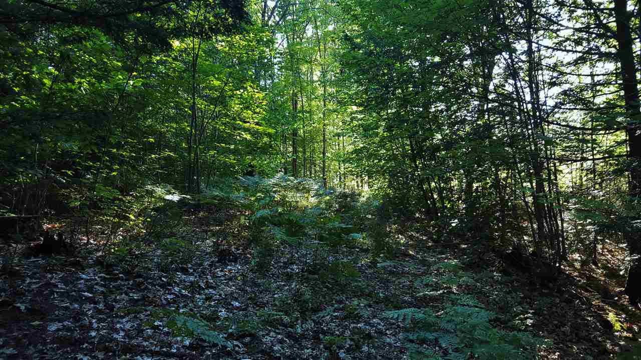 74 Effingham Road Ossipee, NH 03864 - Photo 8 of 10