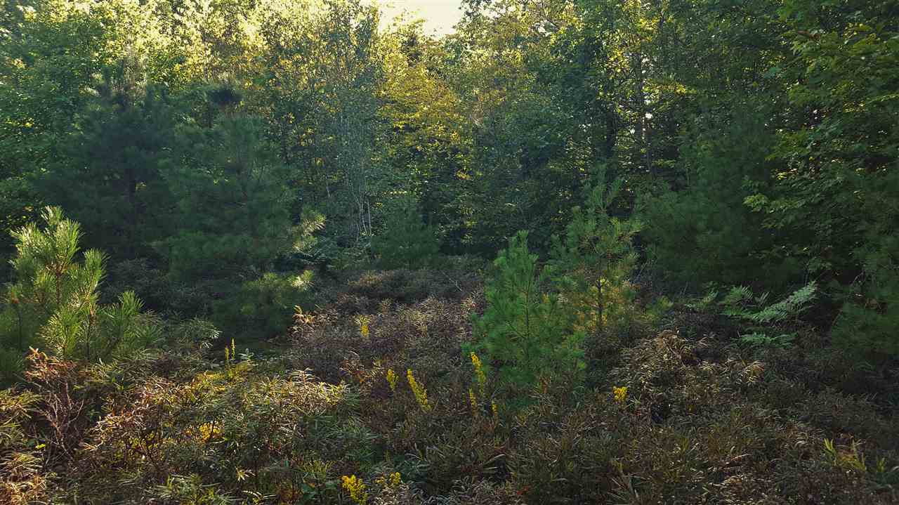 74 Effingham Road Ossipee, NH 03864 - Photo 9 of 10