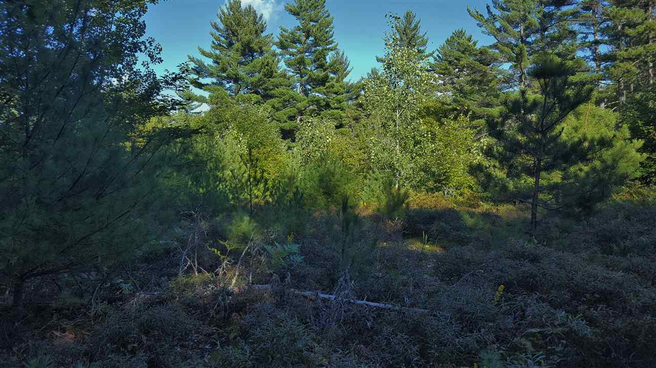 74 Effingham Road Ossipee, NH 03864 - Photo 10 of 10