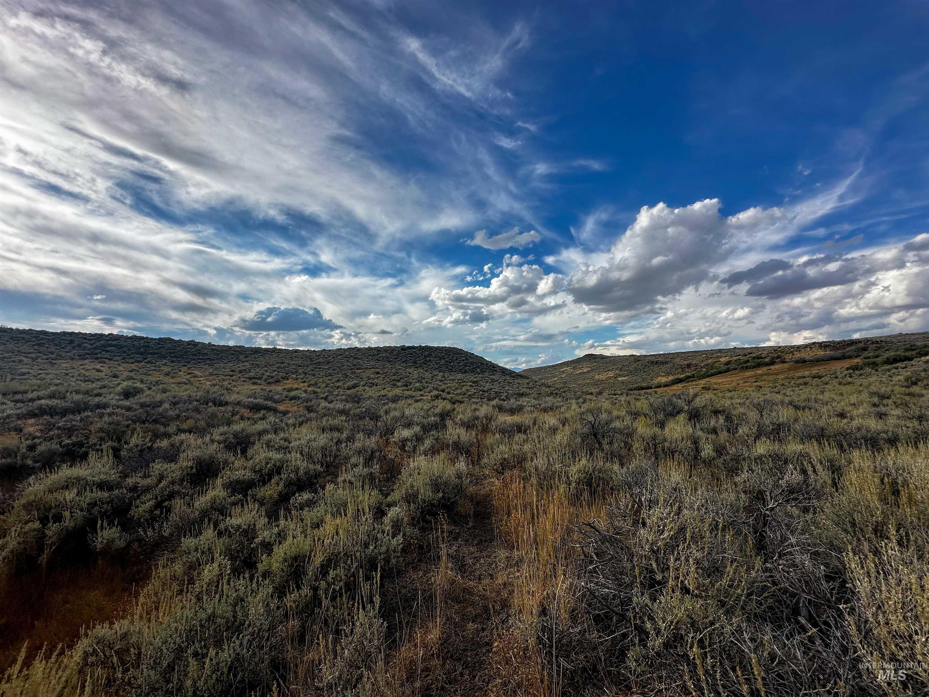 Macon Flat Road Fairfield, ID 83327 - Photo 17 of 18 View of mountain background