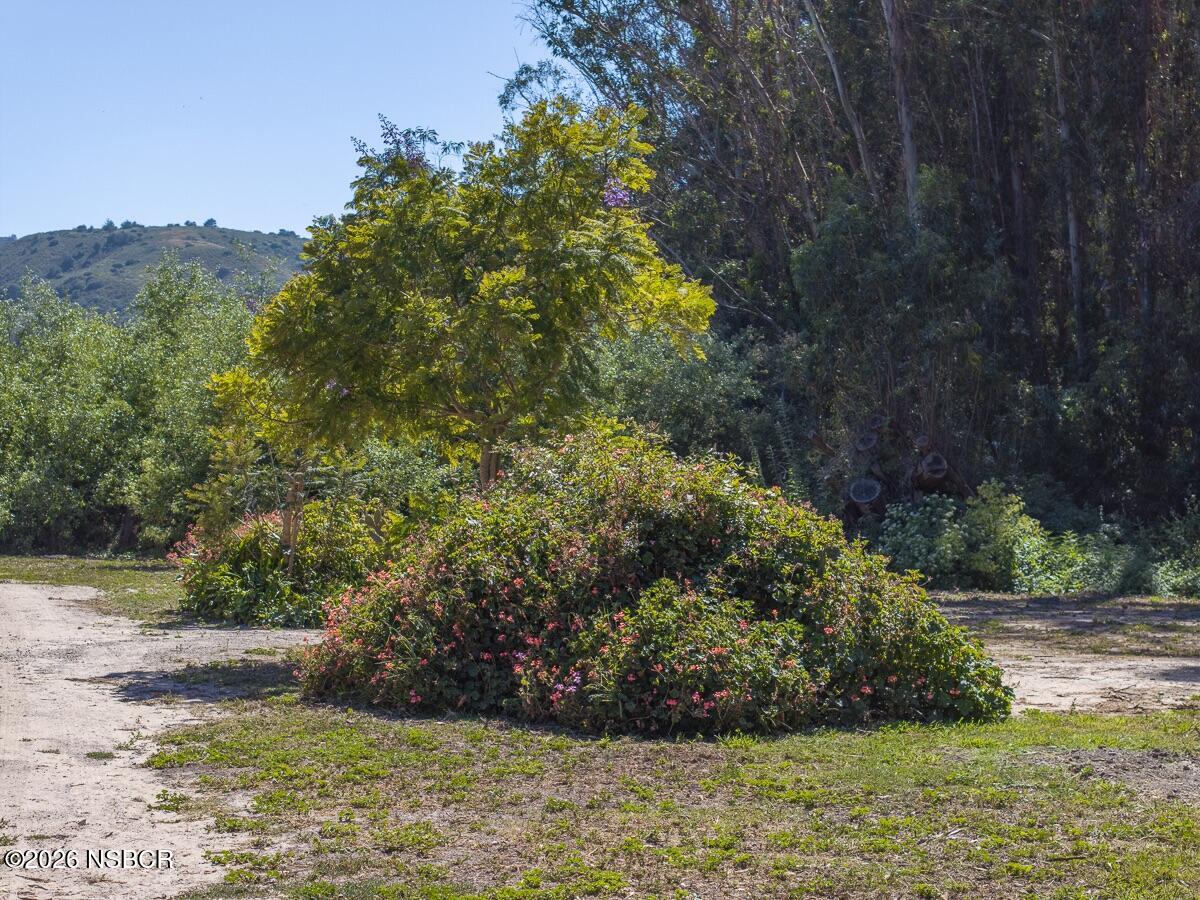 870 Lasalle Canyon Road Lompoc, CA 93436 - Photo 29 of 45 LaSalle Canyon - Web-29