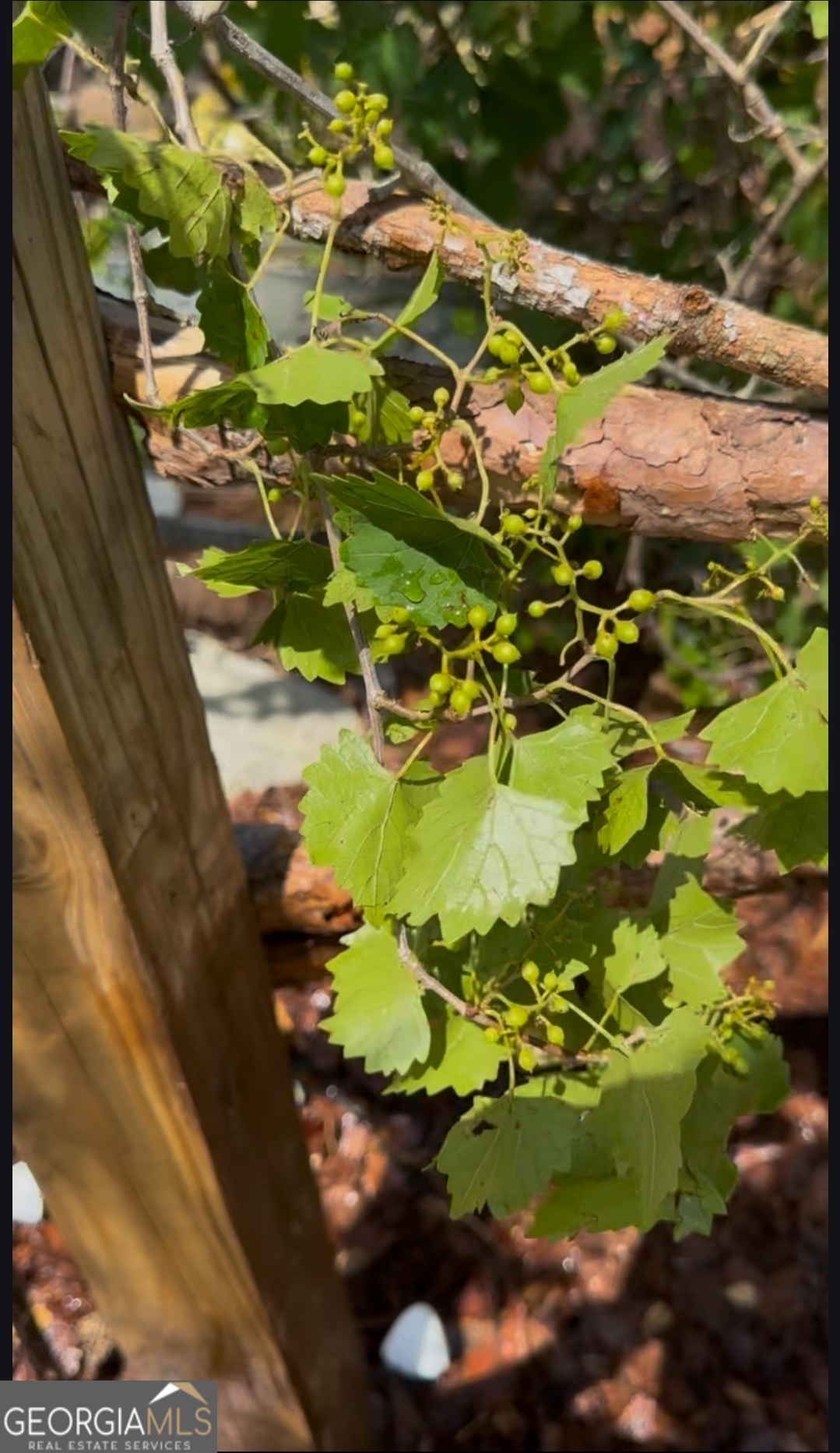 21 Fox Path St. Marys, GA 31558 - Photo 19 of 24