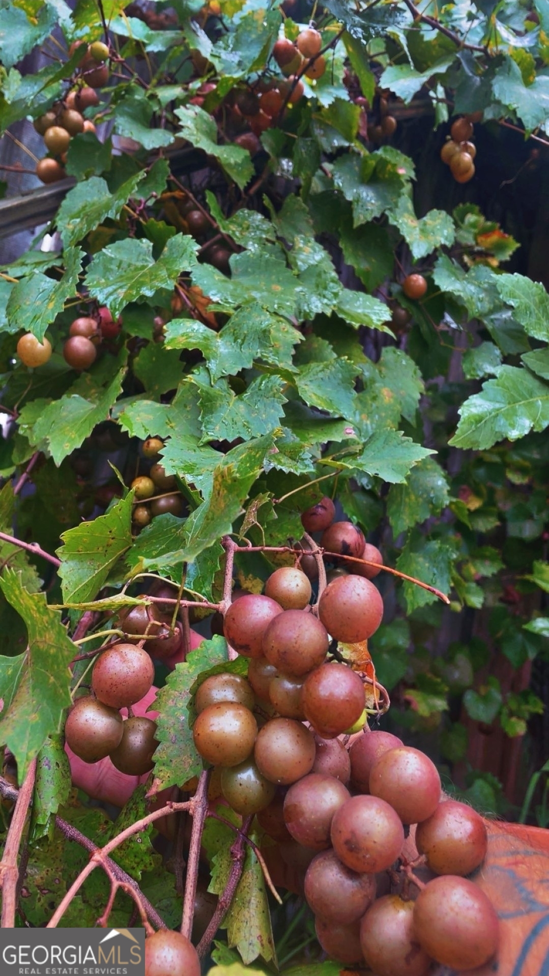 21 Fox Path St. Marys, GA 31558 - Photo 20 of 24