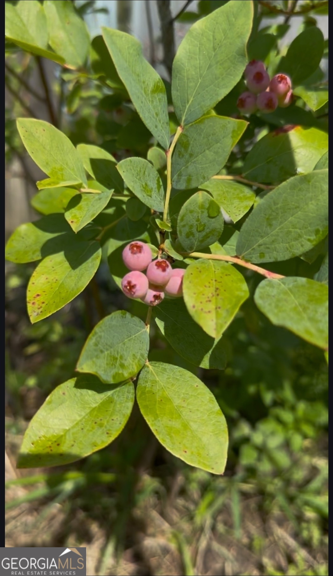21 Fox Path St. Marys, GA 31558 - Photo 21 of 24