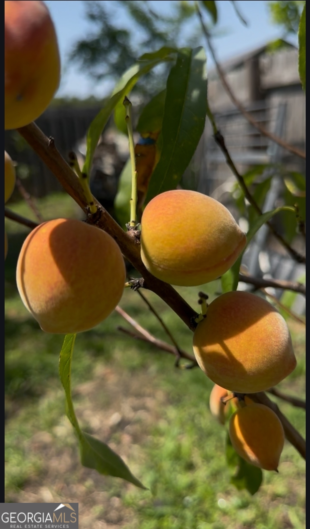 21 Fox Path St. Marys, GA 31558 - Photo 22 of 24