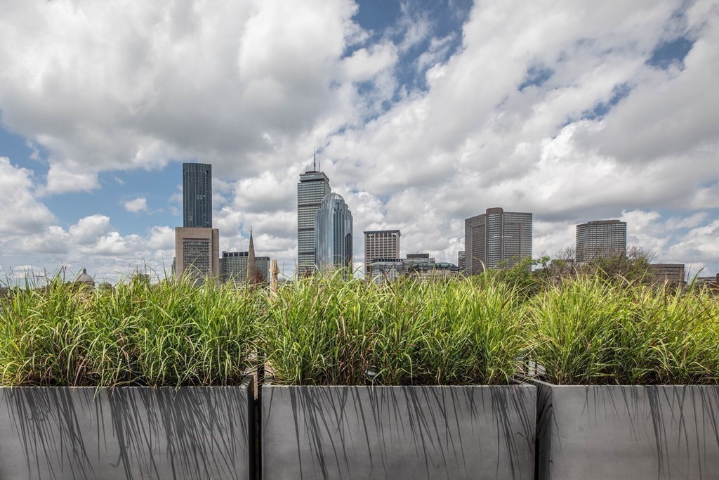 11 Rutland Square Boston, MA 02118 - Photo 8 of 11