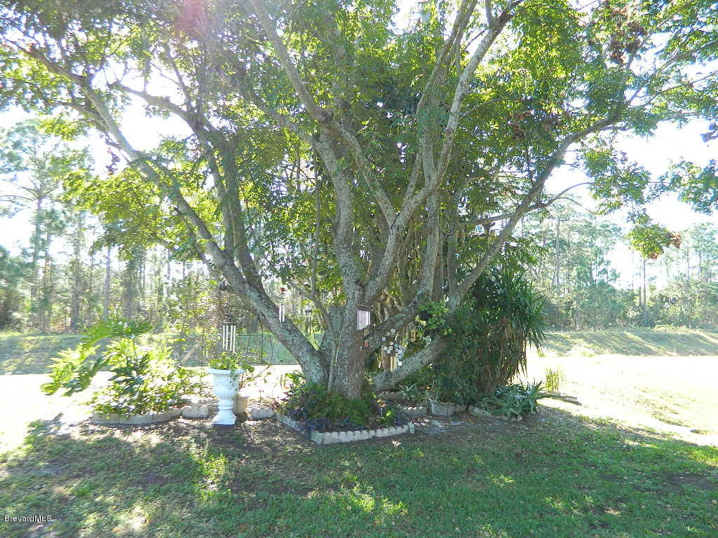 582 Rheine Road Northwest Palm Bay, FL 32907 - Photo 2 of 43 Rheine 001