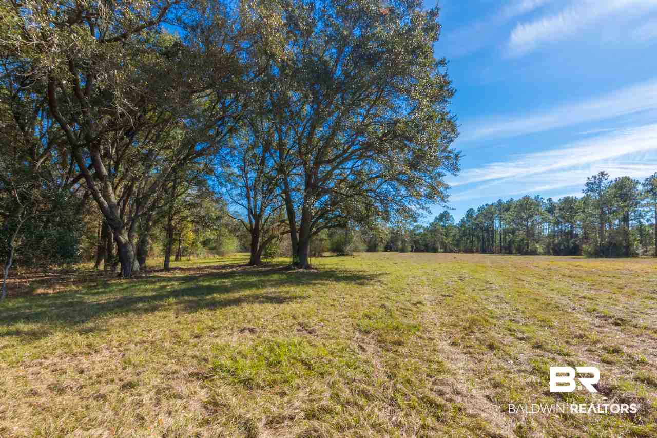 21801 County Road 28 Foley, AL 36535 - Photo 24 of 41