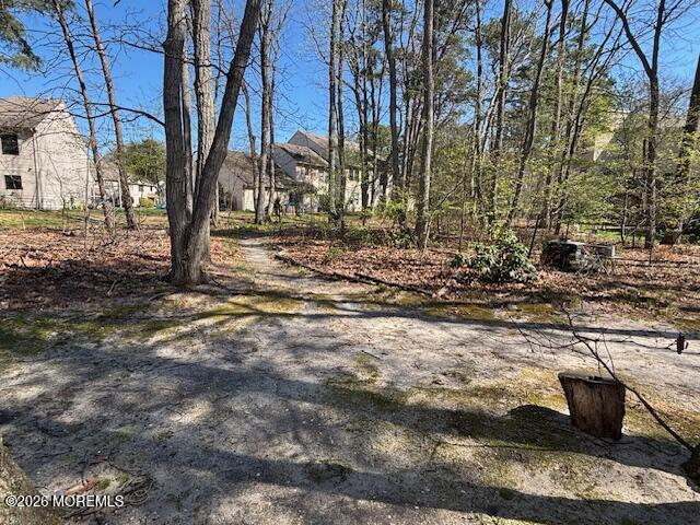 197 Azalea Circle Jackson, NJ 08527 - Photo 13 of 33 a view of a yard with trees
